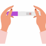 hands hold a positive pregnancy test